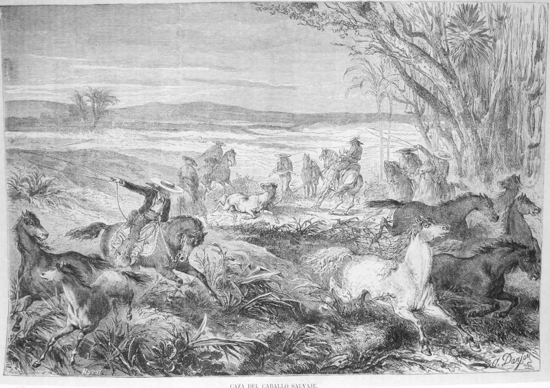 Caza del Caballo Salvaje