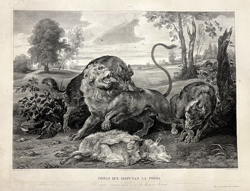 Fieras que Disputan la Presa [A Lion and Three Wolves] (Frans Snyder, c.1650)