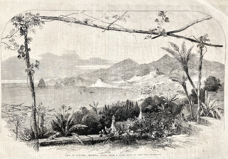 View of Funchal Madeira, Taken from a point East of the City / Vista de Funchal, Madeira (Portugal)