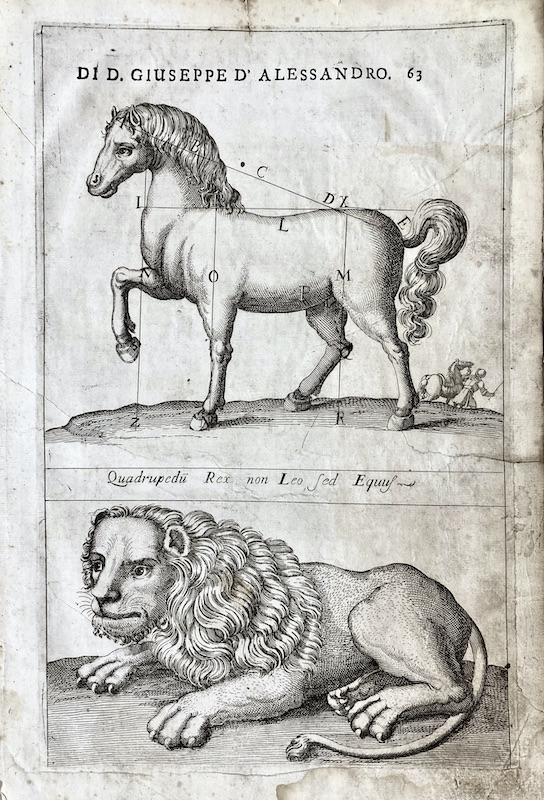Quadrupedu Rex non Leo Sed Equus (Caballo y León)