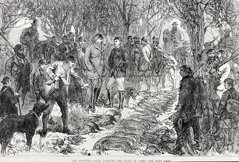 The Shooting Party counting the Head of Game