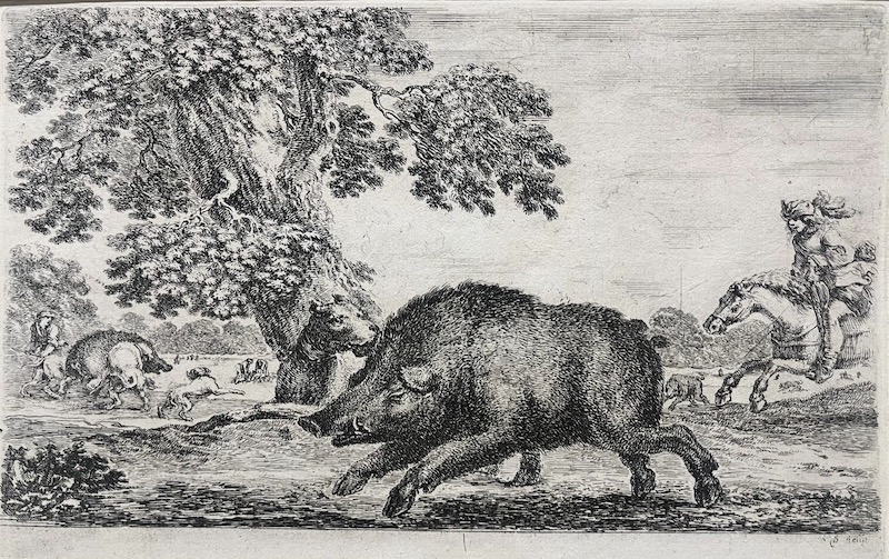 [Caza del Jabali a Caballo con Perros]
