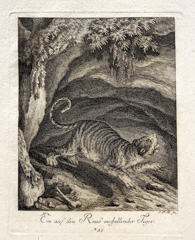 Ein auf den Raub ausfallender Tiger [Un tigre que se lanza sobre la presa]